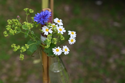 W'ortwechsel in Arbogast mit: Edith Klinger, Philipp Lingg, Propst Martin Werlen, Journalist Matthias Neust?dter, Bischof benno Elbs, Kabarettistin Maria Neuschmid, Lisa Klotz, Naturschutzanw?ltin Katharina Lins und Clownfrau Elke Maria Riedmann